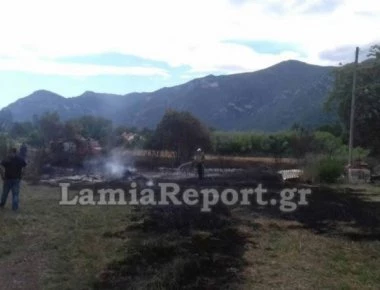 Φθιώτιδα: Μεγάλη φωτιά σε κατοικημένη περιοχή - Παραλίγο να κινδυνεύσουν σπίτια! (φωτό)